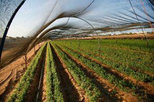 פתרונות כיסויי למגזר החקלאי